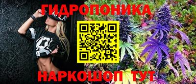 spice Обнинск