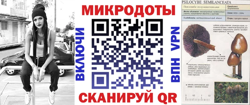 Псилоцибиновые грибы Psilocybine cubensis  Шатура 
