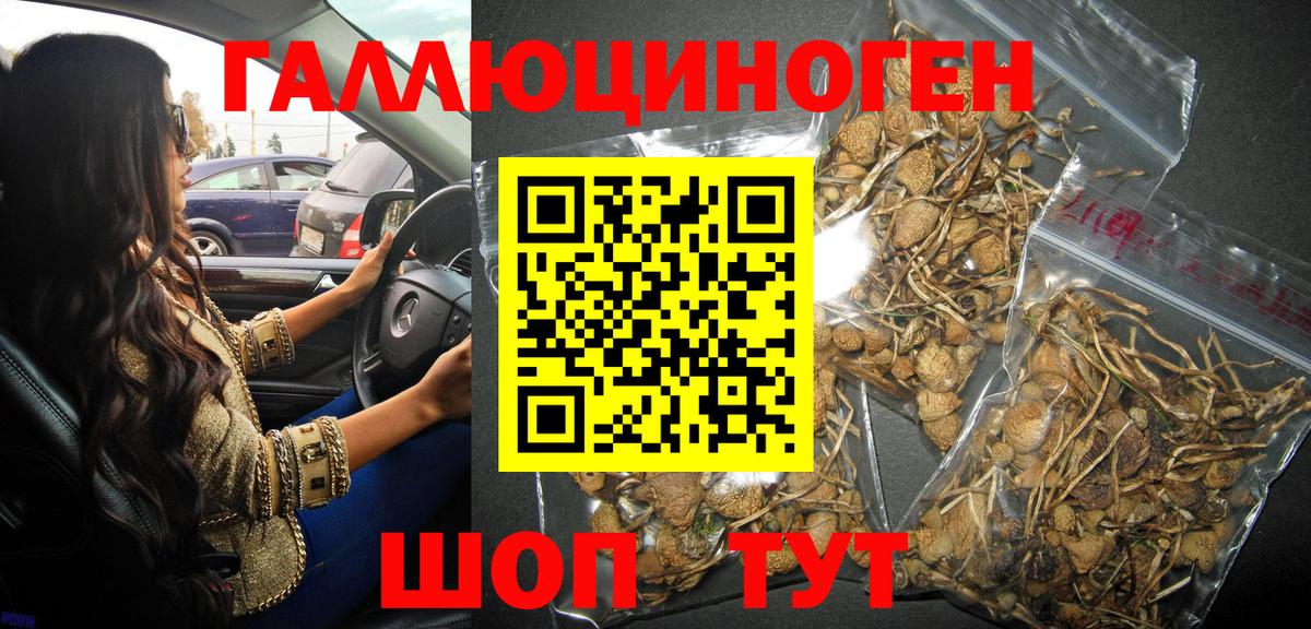 Шатура  Галлюциногенные грибы мицелий  Галлюциногенные грибы ЛСД  Вход с VPN 