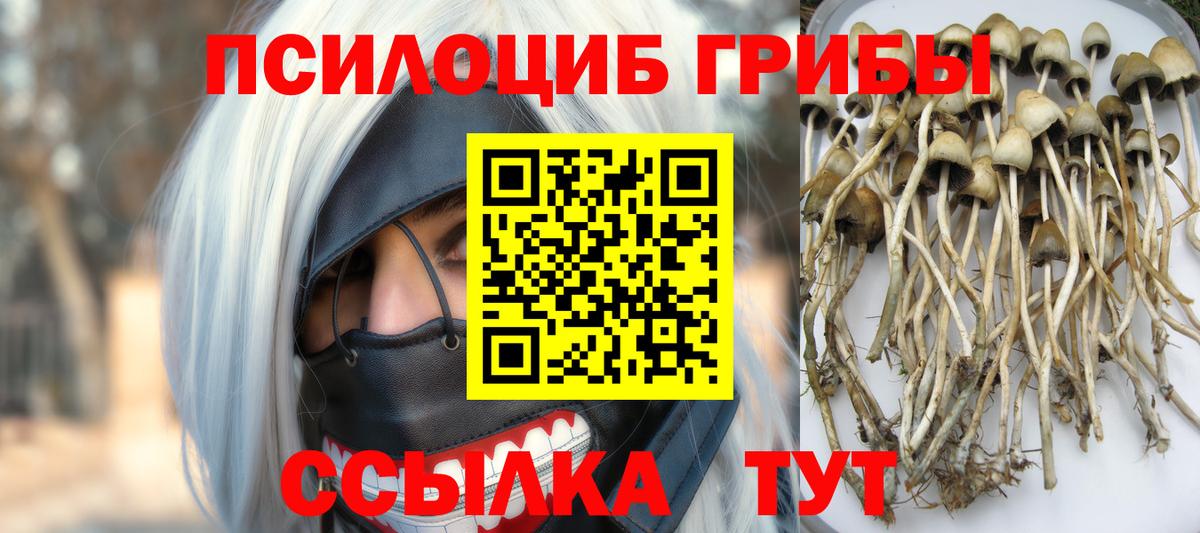 Галлюциногенные грибы ЛСД Шатура
