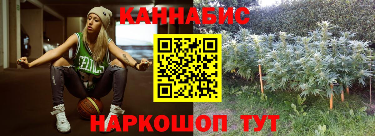 МАРИХУАНА White Widow Шатура